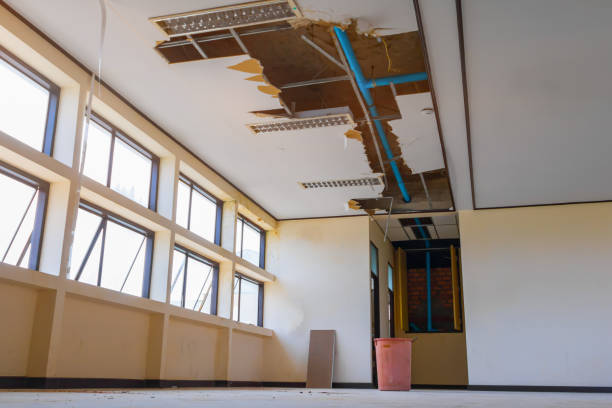 Best 24-hour water damage restoration  in San Manuel, AZ