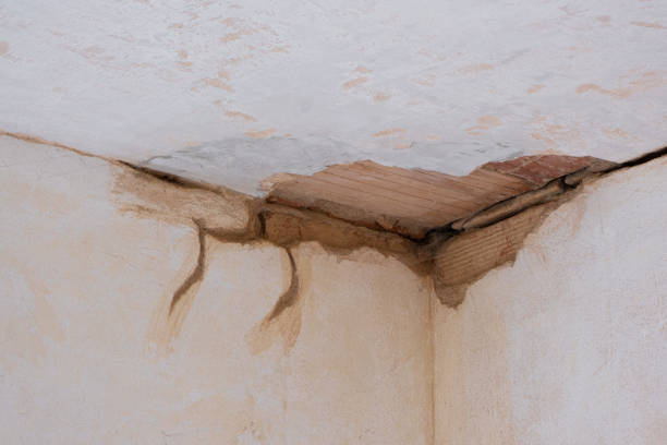 Best Water damage restoration company  in San Manuel, AZ