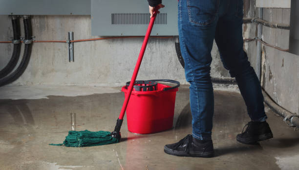 Best Professional water damage repair  in San Manuel, AZ