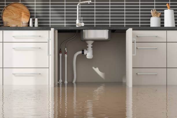 Best Water damage cleanup near me  in San Manuel, AZ