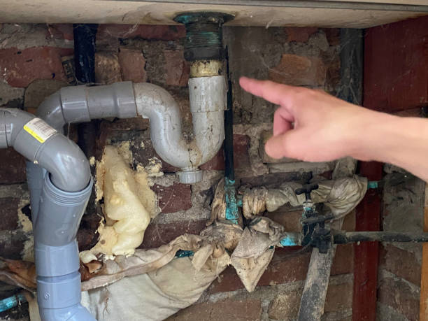 Best Water damage restoration specialists  in San Manuel, AZ